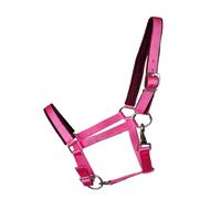 JF-Reitsport Cabestro acolchado de nailon, ajustable en nariz y cuello, con mosquetón, diferentes tamaños y colores (rosa, Shetty)