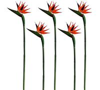 JFBUCF 5 flores artificiales pájaro del paraíso 55 cm de largo tallo Strelitzia flores ramos de goma suave Strelitzia para decoración del hogar, jardín, boda, fiesta
