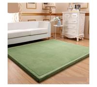 JFNKLFG Alfombra Pelo Largo Tatami de 3cm Espesor, Alfombra Lana Coral for Dormitorio, Sala Estar, for Ventana, for cabecera, esteras for Gatear for niños para Salón(Color-12,150x200cm)