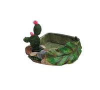 JFNKLFG Cuenco de Comida for Cangrejo ermitaño for Mascotas, alimentación Agua, Caja cría Insectos Anfibios Que se arrastran, Paisaje para el Cuidado y la Vida de Reptiles(Color-01)