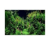 JFNKLFG Fondo Acuario Pegatina de Bosque for Acuario, Cartel Adorno Fondo, Paisaje for, Papel Respaldo Autoadhesivo for pecera para Decoración(White,54x122cm)