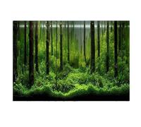 JFNKLFG Fondo Acuario Póster de Fondo for Acuario, Pegatina Adhesiva PVC 3D, Tanque Peces, Mundo Submarino, telón, Pegatinas Plantas Marinas y oceánicas para Decoración(D,41x61cm)