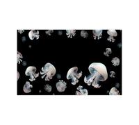 JFNKLFG Fondo de Pecera Pegatina de Fondo for Acuario, póster, decoración pecera, Papel Tapiz Autoadhesivo(30x40cm)