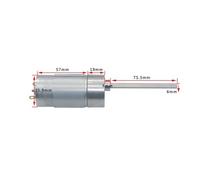 JGB37-555 D6 L75 Micro DC Gear Motor 12V Long Shaft High Torque Motor DC Speed Regulation Forward and Reverse Small Motor(Single Motor,107RPM,24V)