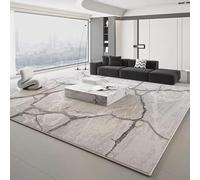 JGGXHM Alfombras Grandes para Dormitorio, Lavables, para salón, guardarropa, Estilo Moderno, para Sala de Estar, decoración del hogar (245 x 365 cm)