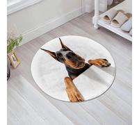 JHAOUNUK Alfombrilla de Baño Absorbente Antideslizante Lavable,Alfombra de Ducha con Respaldo de Goma para Baño,Bañera,Voy hacia ti. Primer plano de un doberman pinscher trepador sobre un fond,60x60cm