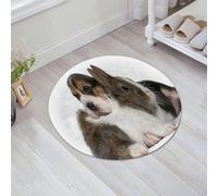 JHAOUNUK Alfombrilla de Baño Absorbente Antideslizante Lavable,Alfombra de Ducha con Respaldo de Goma para Baño,Bañera,Cachorro Beagle de 1 Mes y un Conejo Delante de un Fondo Blanco,60x60cm