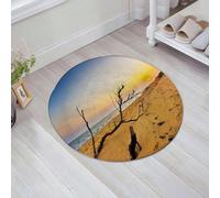 JHAOUNUK Alfombrilla de Baño Absorbente Antideslizante Lavable,Alfombra de Ducha con Respaldo de Goma para Baño,Bañera,Madera a la Deriva arrastrada hasta la Orilla arenosa al Amanecer.,60x60cm