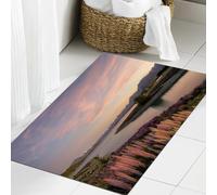JHAOUNUK Tapete de baño de secado rápido, tapete absorbente para el hogar, parte inferior de goma antideslizante, fácil de limpiar, tapete de ducha de baño, Isla del Sur de Nueva Zelanda, 24 x 36