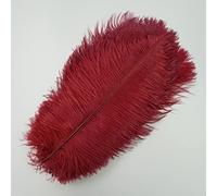 JHGCCL 10 unids/Lote de Plumas de Avestruz Naturales para Manualidades Oro Menta Rojo Rosa Pluma Grande decoración para Fiesta de Boda