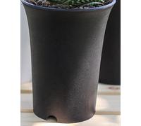 JHGCCL Maceta de plástico de Cintura Alta para Plantas suculentas, Redonda, Mate, Espesada, Color Blanco y Negro, 4 Uds.