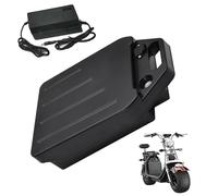 JHKJ Batería de 60 V 10 Ah 15 Ah 20 Ah 25 Ah 30 Ah para Motocicleta eléctrica. Paquete de baterías de Litio integradas de 60 voltios para Scooter y ciclomotor con Cargador.,60v 10.4ah