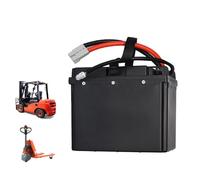 JHKJ Batería de Litio de 24 V y 40 Ah para transpaleta eléctrica, Paquete de baterías de Iones de Litio de 24 V y 55 Ah para Carretilla elevadora eléctrica con Motor de 0-1400 W.,B,24V 40Ah