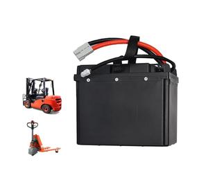 JHKJ Batería de Litio de 24 V y 40 Ah para transpaleta eléctrica, Paquete de baterías de Iones de Litio de 24 V y 55 Ah para Carretilla elevadora eléctrica con Motor de 0-1400 W.,B,24V 40Ah