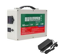 JHKJ Batería para pulverizador eléctrico de 12 V 20 Ah 30 Ah, baterías de Litio de 24 V 48 V 20 Ah 30 Ah para Almacenamiento de energía en máquinas de iluminación Solar,48v 16ah