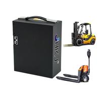 JHKJ Batería para transpaleta eléctrica de 24 V y 25 Ah. Batería para Carretilla elevadora eléctrica de 24 V para Kits de Motor de 0 a 600 W. Baterías LiFePO4 de 24 V.