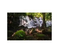 JHSDHYD Fondo Acuario Adhesivo de Fondo for Acuario, póster Decorativo de Arroyo de montaña, Papel Tapiz Autoadhesivo for pecera.(50x80cm)