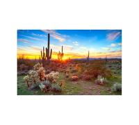 JHSDHYD Fondo Acuario Póster Decorativo de Fondo for Acuario, diseño de Paisaje desértico, Autoadhesivo for pecera.(Color1,50x80cm)