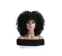 JIANBOHAIRS 16 Inch Afro Kinky Curly Wigs with Bangs for Women, None Lace Synthetic Hair for Daily Party Natural Looking for Thinning Hair(Jet black)