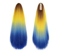 JIANBOHAIRS Cola de caballo del color del arco iris de 24 pulgadas, extensión del pelo recto de Yaki, postizo sintético del clip de la garra for las mujeres Daily Wear(QCOSS88-E10)