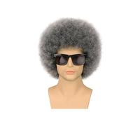 JIANBOHAIRS Pelucas Afro Sintéticas 4 Colores Estilo Rock Los Años 70: Cabello Sintético Rizado, Diseño Elegante, Perfectas Cosplay Halloween Hombres Y Mujeres for Thinning Hair(Silver grey)