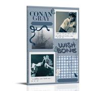 JIANGDANPPBEM Póster de Conan Gray Wishbone DecoMotif para decorar tu espacio, define tu estilo, 20 x 30 cm, marco de Conan gris Wishbone