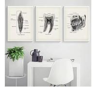 JIANGSHANDAIYOUCAIREN Retro anatomía dental abstracta ilustración dental cartel educativo pintura al óleo mural arte imagen clínica regalo de decoración del hogar sin marco-30x40cmX3