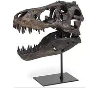Jiawinng Dinosaur Skeleton Estatua Resina Modelo Fossil Display Arqueología Artesanía De La Enseñanza para El Dinosaurio Amantes De La Arqueología Regalos Halloween Christmas Office Decoración,S