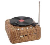 Jiawu Altavoz de Tocadiscos Vintage con BT 5.3 Mejorado para Deportes Al Aire Libre en el Altavoz de Alta Mano Portátil de Graves Pesados Al Aire Libre para el Entrenamiento Ejercicio Material ABS