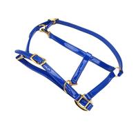 Jiawu Brida para Caballos, Repelente Al Agua, Fácil Limpieza, Cabestro para Caballos de Doble Capa, Brida para de 20 Mm con Hebillas de Aleación de Zinc Doradas para Competiciones de Entrenamiento de