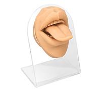 Jiawu Modelo de Lengua de Silicona, Diseño Realista de Silicona Suave, Modelo de Boca de Lengua Humana, de Exhibición de con Soporte Acrílico para Exhibición de Joyería y Práctica de Perforación