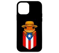 Jibaro Coqui Frog Puerto Rico Flag Buricua Pocket Borinquen Carcasa para iPhone 12 Mini