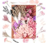 JIEYUCHU Flores Secas Decoracion, Flores Preservadas Naturales, Flores Secas Manualidades, Hecho de Flores Reales, para Manualidades DIY Resina Albumes de Recortes Invitaciones de Boda