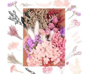 JIEYUCHU Flores Secas Decoracion, Flores Preservadas Naturales, Flores Secas Manualidades, Hecho de Flores Reales, para Manualidades DIY Resina Albumes de Recortes Invitaciones de Boda