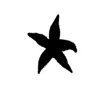 JIFENLI Pegatinas Para Automóviles 14.6Cmx16.9Cm Pieza De Ronquido Be Beaten By Wind And Waves Interesante Vinilo Marino Balck/Sliver Decal Sticker