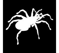 JIFENLI Pegatinas Para Automóviles 14.8Cmx11.3Cm Pegatina De Coche Divertida Araña Decorativa Vinilo Motocicleta Decoral