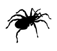 JIFENLI Pegatinas Para Automóviles 14.8Cmx11.3Cm Pegatina De Coche Divertida Araña Decorativa Vinilo Motocicleta Decoral