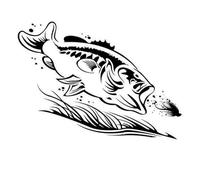 JIFENLI Pegatinas Para Automóviles 16.5X11.8Cm Blackmouth Black Bass Divertida Pegatina De Dibujos Animados Accesorios Creativos