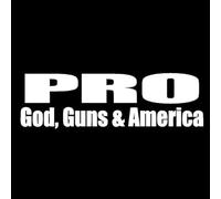 JIFENLI Pegatinas Para Automóviles 16Cmx4.9Cm God Guns America Astilla De Balck