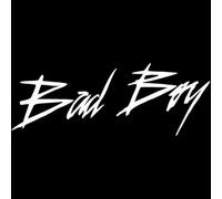 JIFENLI Pegatinas Para Automóviles 22.4X8.4Cm Bad Boy Art Font Palabras Calcomanía Accesorios Para El Cuerpo Negro/Plata