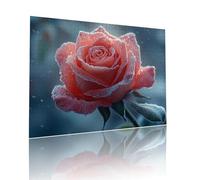 Jigsaw Puzzle Adultos Flor Planta Rompecabezas Educa Puzzle Desafiando lo Imposible 1314 Piezas Incluye Pegamento Fix a Partir de 7 AñOs Actividades de Juego, como DecoracióN y Regalo 50x75cm t-359