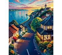 Jigsaw Puzzles for Adults Vista de la Ciudad Jigsaw Puzzles for Adults 1500,Family Educational Puzzle Game Creative Puzzle for Adult Kids for Home Decoration and Birthday Gifts