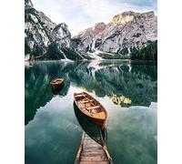 Jigspsyzh - Kits de pintura al óleo por números, para adultos y niños, incluye pinceles y pigmentos acrílicos, 50 x 40 cm (sin marco)