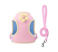 jiingekk Arnés transpirable para perros pequeños sin tirones, chaleco fácil de caminar con arnés ajustable para gatitos