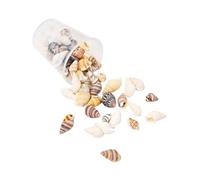 jiingekk Conchas de caracolas naturales, suministros de arte, colección de manualidades para decoración del hogar y proyectos creativos, conchas marinas creativas, materiales de decoración del hogar