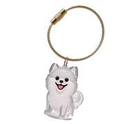 jiingekk Llavero de caja conmemorativa de pelo de perro con caja de exhibición transparente, caja de almacenamiento de pelo de mascotas, contenedor de cenizas de recuerdo de pérdidas