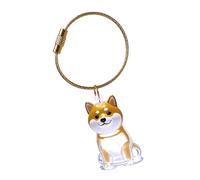 jiingekk Llavero de caja conmemorativa de pelo de perro con caja de exhibición transparente, caja de almacenamiento de pelo de mascotas, contenedor de cenizas de recuerdo de pérdidas