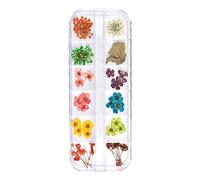 Jiklophg 12 Colores/Set NiñOs Juguetes de Secas para Decoraciones de Arte de UñAs de UñAs Adornos de Secas Fiesta Festival DecoracióN C