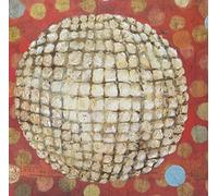 Jim O'Rourke - Bad Timing [Vinilo]