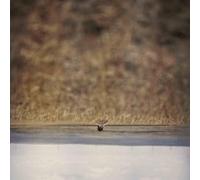 Jim O'Rourke - Hands That Bind (Original Motion Picture Soundtrack) [Vinilo]